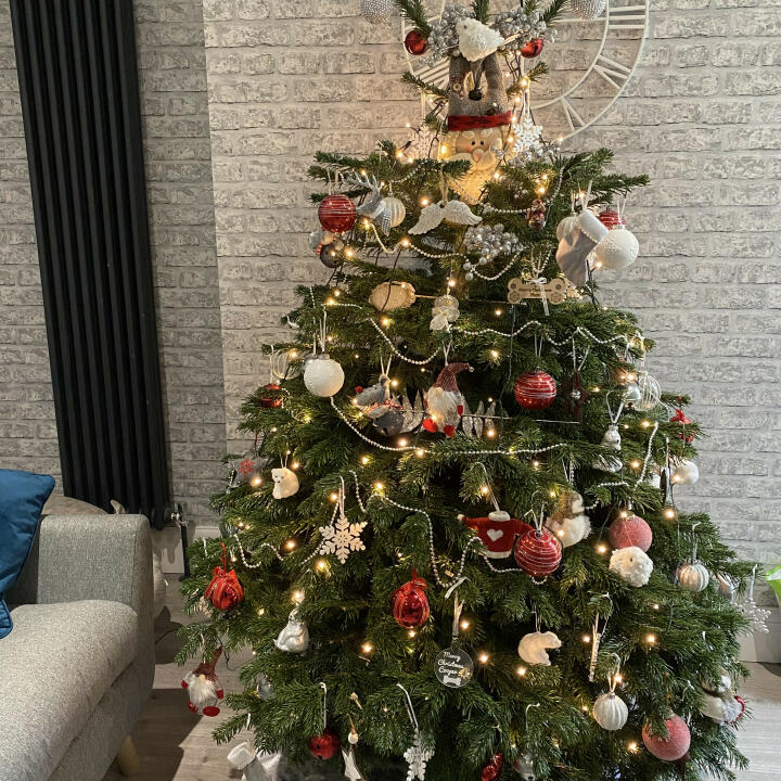 Christmas Trees Liverpool 5 star review on 6th December 2020