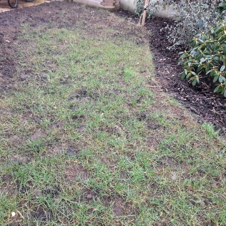 the lawn turf laying company 1 star review on 5th March 2021
