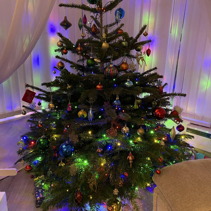 Christmas Trees Liverpool 5 star review on 29th November 2022