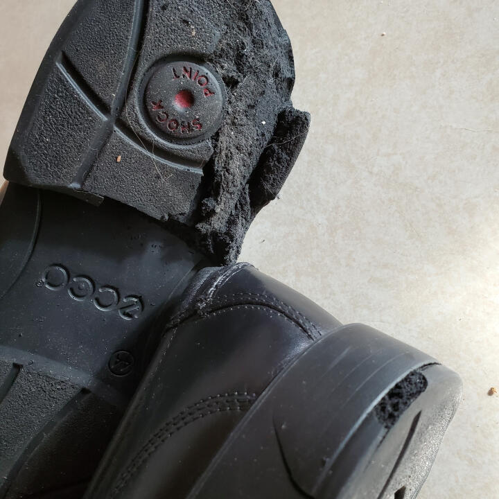 ECCO Shoes 1 star review on 27th May 2021