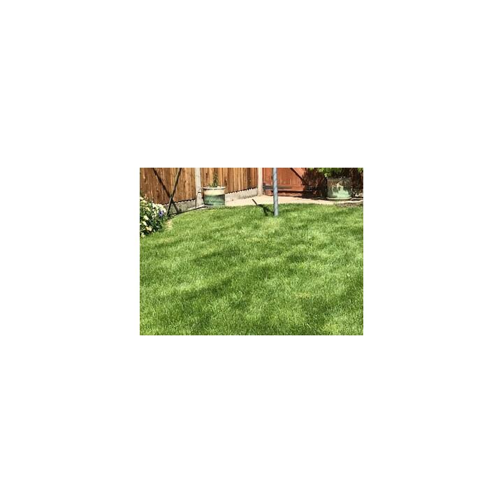 the lawn turf laying company 1 star review on 4th August 2018
