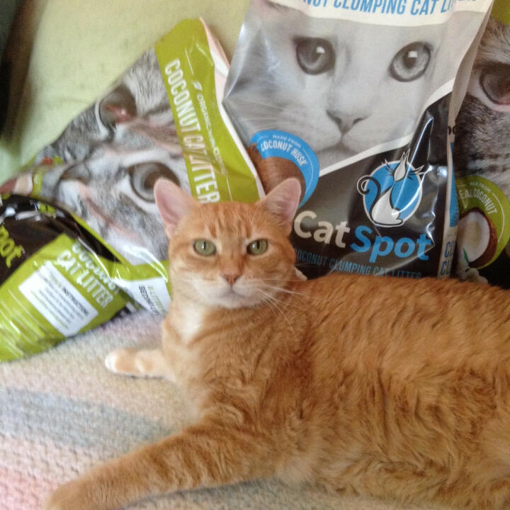 Cat Spot Litter 5 star review on 6th July 2021