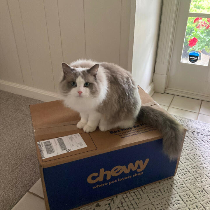 Chewy.com 5 star review on 18th May 2022
