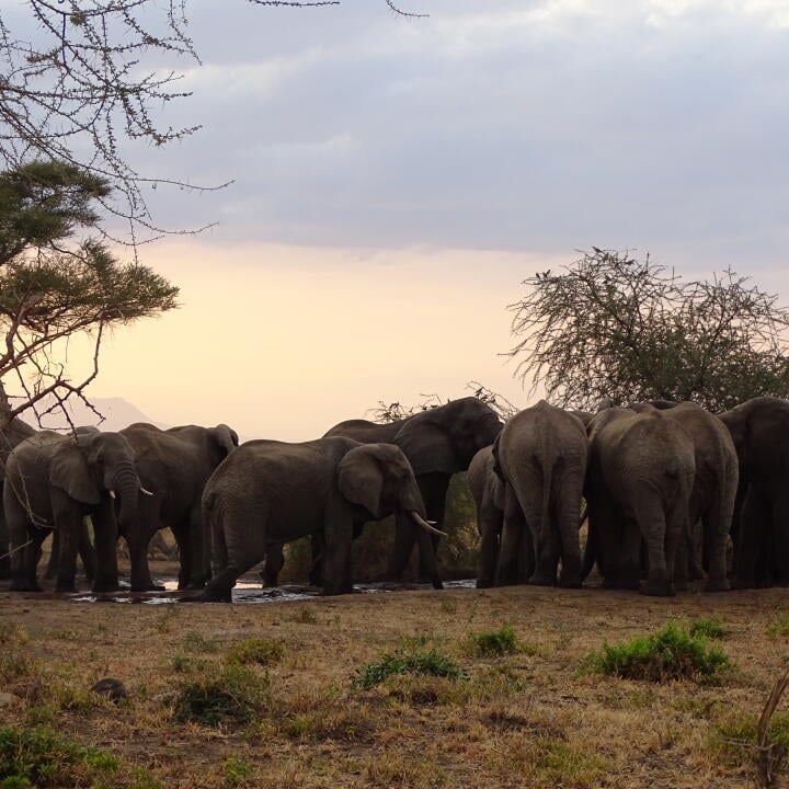 African Overland Tours 5 star review on 24th August 2022