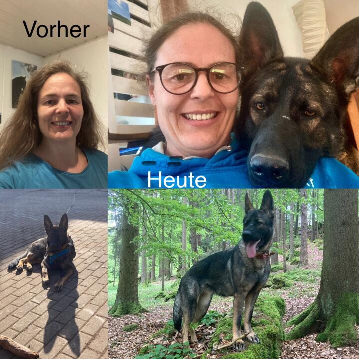 Akademie für Hundegesundheit 5 star review on 15th May 2023