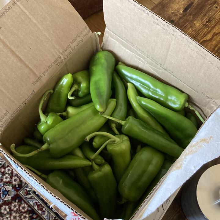 The Hatch Chile Store 5 star review on 25th October 2022