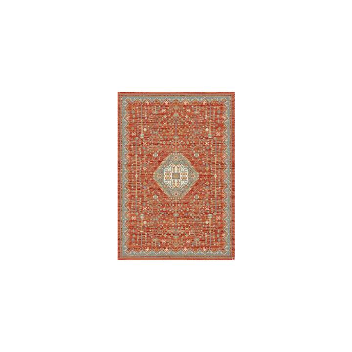 Incredible Rugs and Decor 5 star review on 16th February 2019