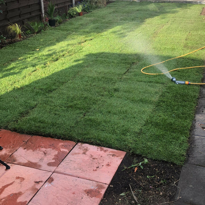 the lawn turf laying company 2 star review on 7th July 2020