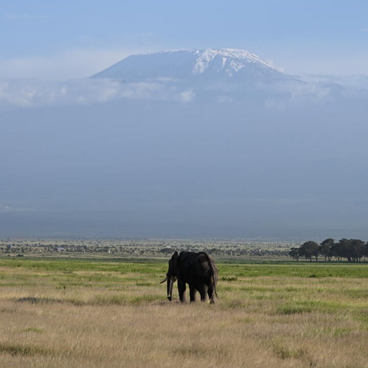 East Africa Wild Adventures Ltd 5 star review on 2nd March 2024