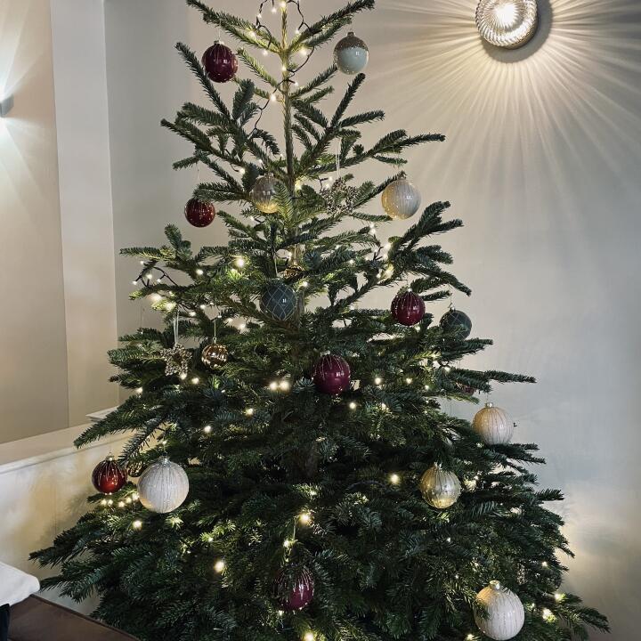 Christmas Trees Liverpool 5 star review on 15th December 2021