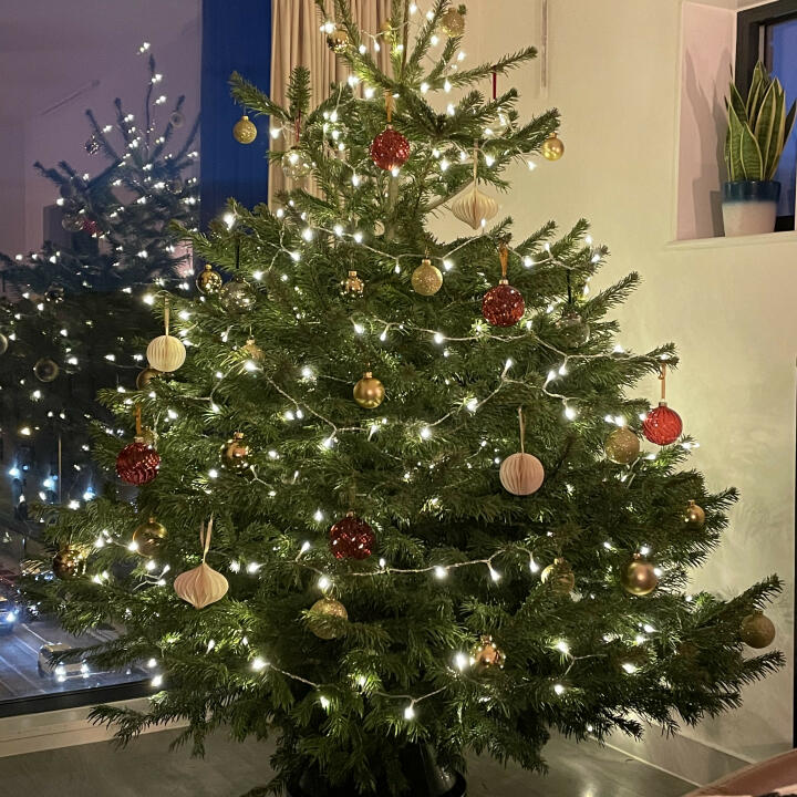 Christmas Trees Liverpool 5 star review on 15th December 2020