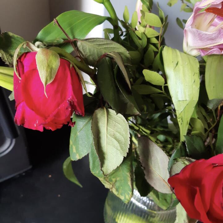 Home Bargains Flowers 1 star review on 26th April 2024