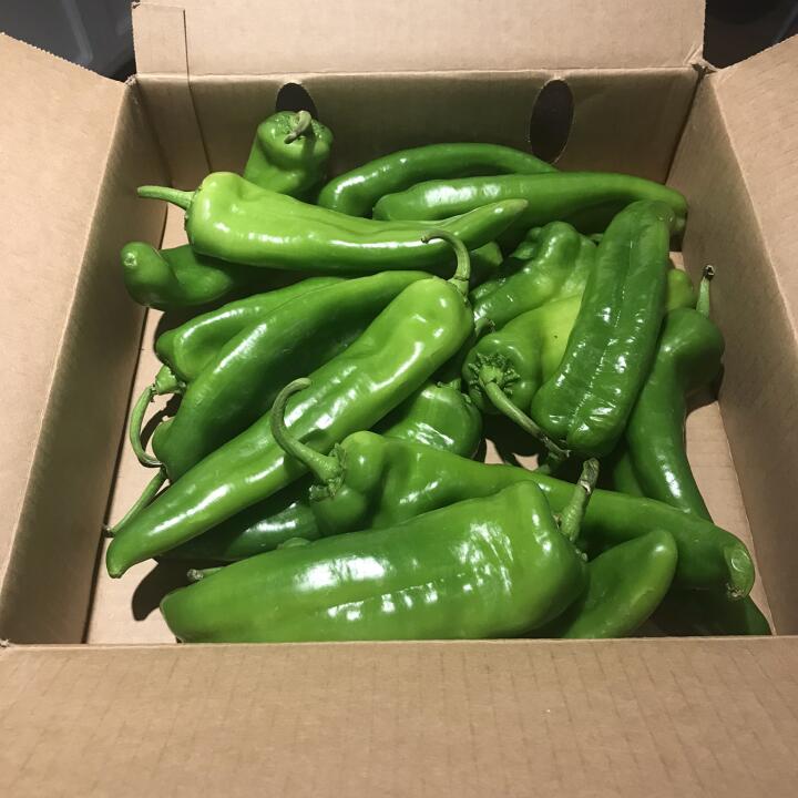 The Hatch Chile Store 5 star review on 5th August 2023
