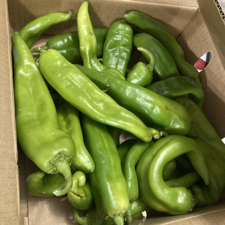 The Hatch Chile Store 5 star review on 21st August 2023