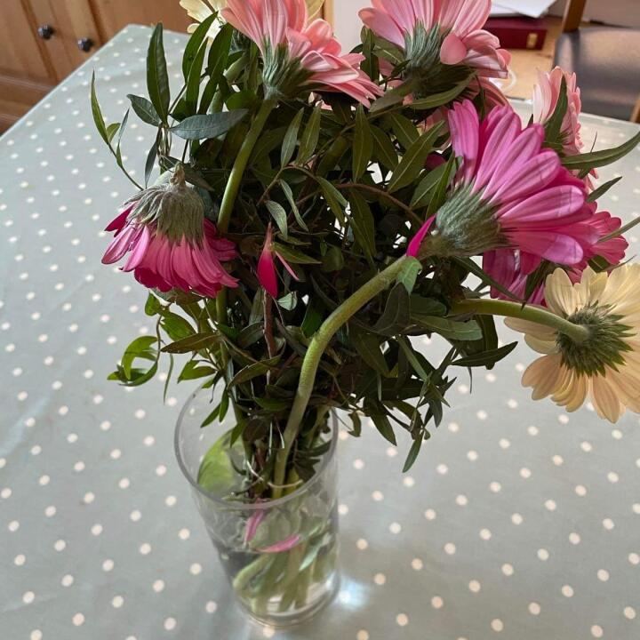 Home Bargains Flowers 1 star review on 24th May 2022