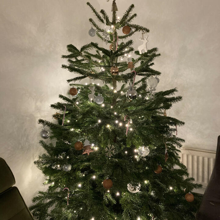 Christmas Trees Liverpool 5 star review on 5th December 2020