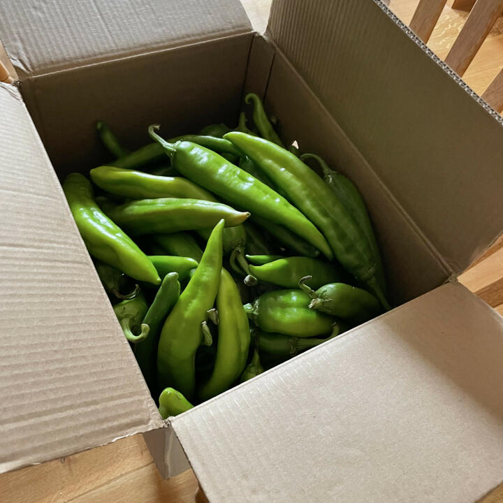 The Hatch Chile Store 5 star review on 21st September 2022