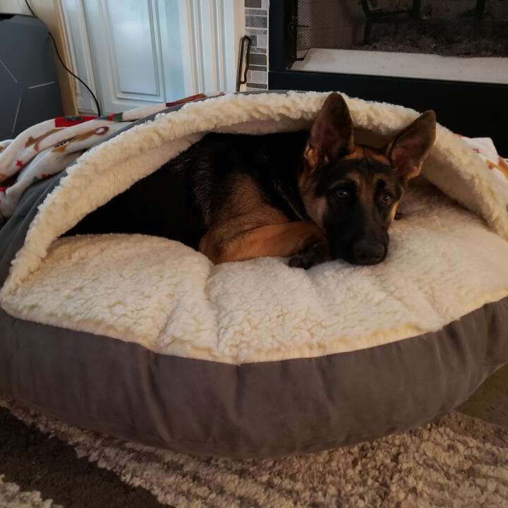Snoozer Pet Products 5 star review on 16th December 2020