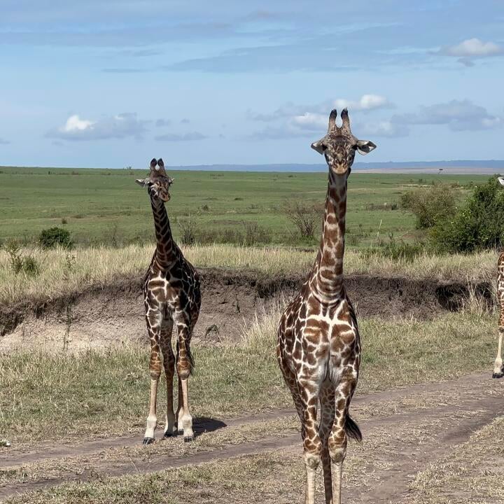 East Africa Wild Adventures Ltd 5 star review on 18th January 2024