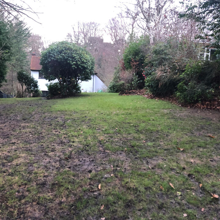 the lawn turf laying company 1 star review on 4th January 2021
