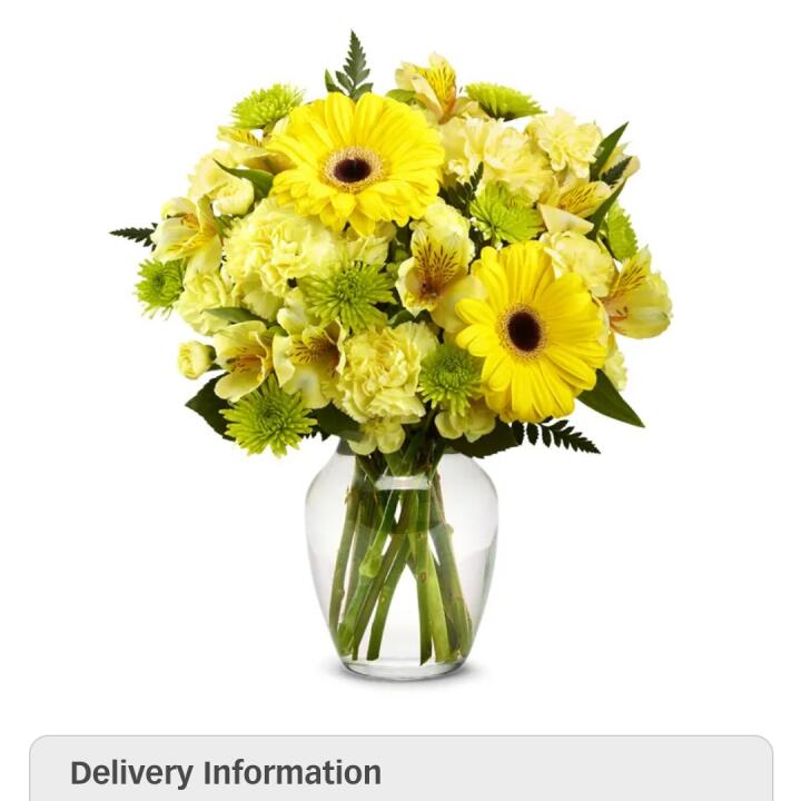 From you Flowers 1 star review on 18th February 2024
