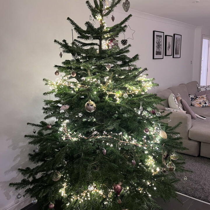 Christmas Trees Liverpool 5 star review on 4th December 2022