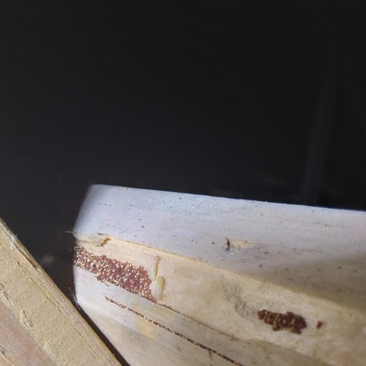 Imperial Pest Prevention Reviews Read 850 Genuine Customer Reviews