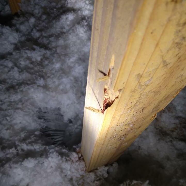 Imperial Pest Prevention Reviews Read 850 Genuine Customer Reviews