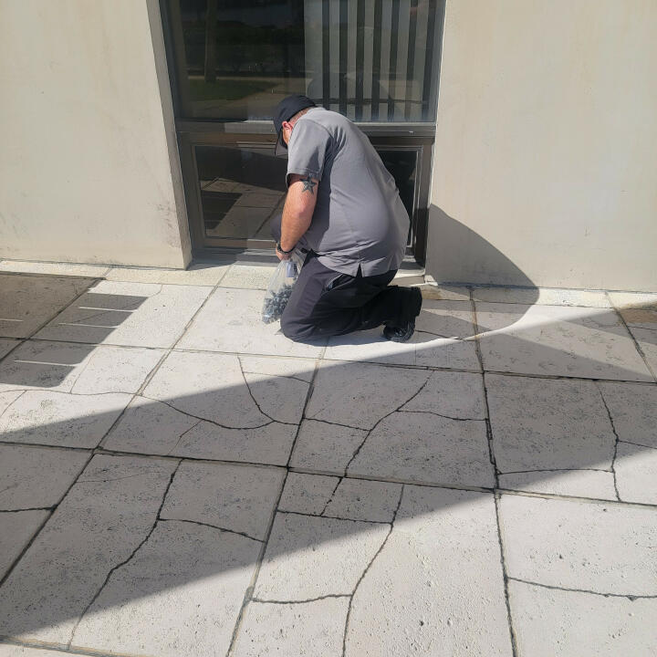 Imperial Pest Prevention Reviews Read 850 Genuine Customer Reviews