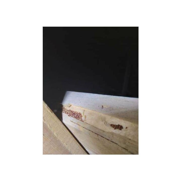 Imperial Pest Prevention Reviews Read 850 Genuine Customer Reviews