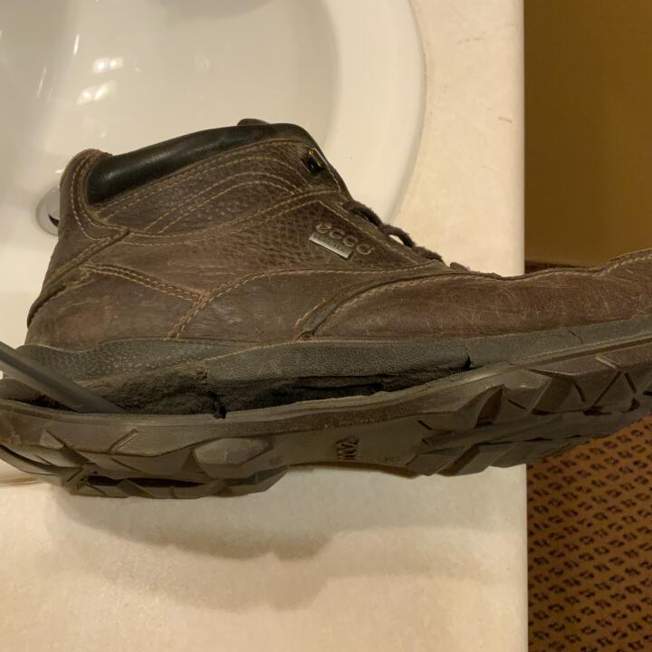 How good are ecco shoes online