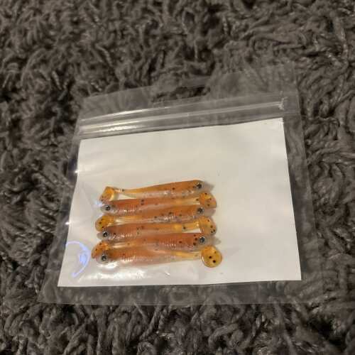 Bewertung von Philipp für das Produkt Lieblingsköder 5 cm Whisky