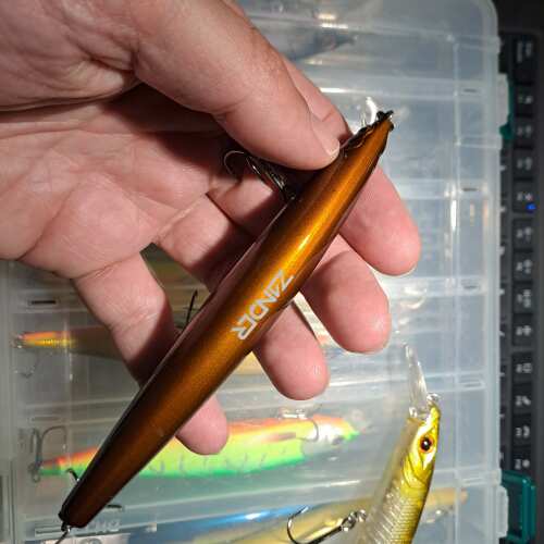 Bewertung von Norman für das Produkt Hänels ZANDER Läufer 12,5 cm | 22 g Nachtschatten