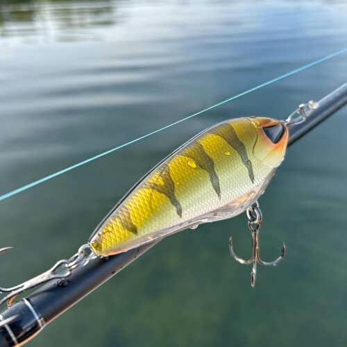 Bewertung von Andreas für das Produkt Rogue Glider | Sinking 10 cm / 46 g / Perch