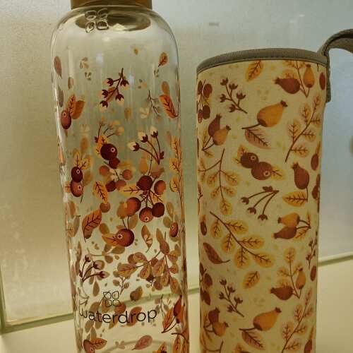 Edition Glass Review foto