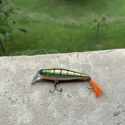 Bewertung von Robert für das Produkt Barsch-Alarm Hitch 7.5 cm / 0.8 m / Glam Perch