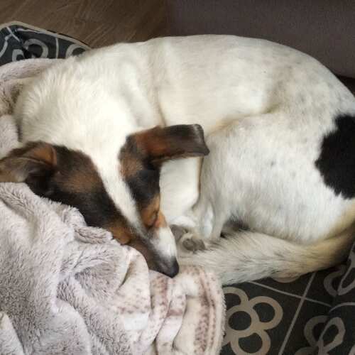 Imagen producto Imagen producto