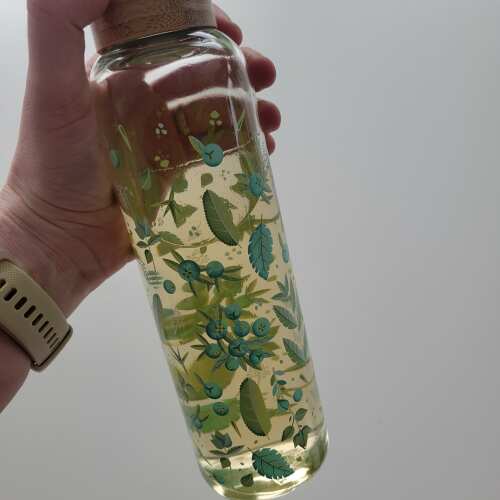 Edition Glass Review foto