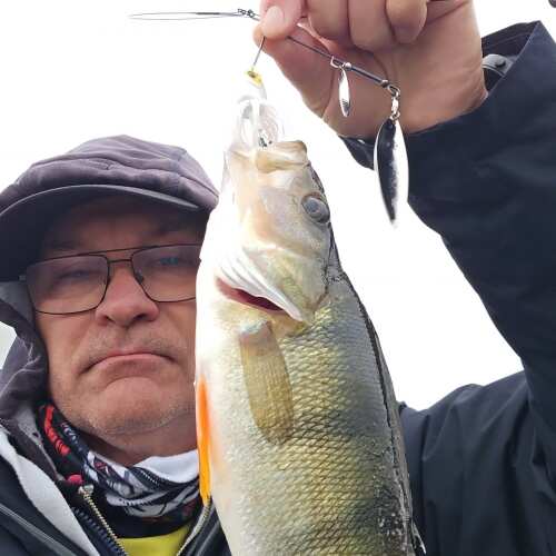 Bewertung von Steffen für das Produkt DEX Spinnerbait 21 g RD Shad