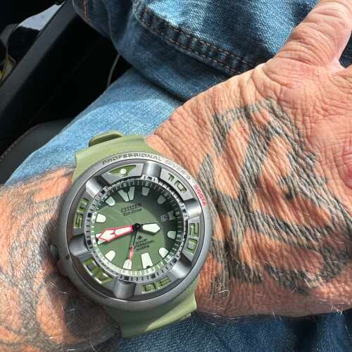 Promaster Dive Promaster Dive