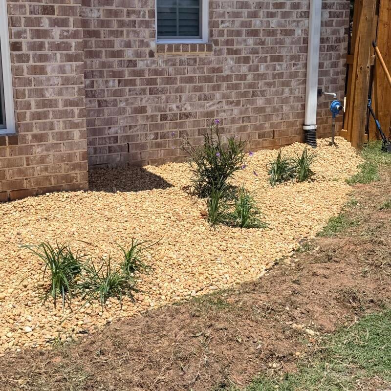 Customer photo — Patricia